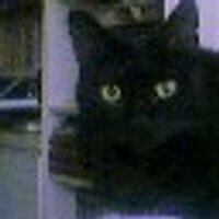 Antonio Dini (@antoniodini) 's Twitter Profile