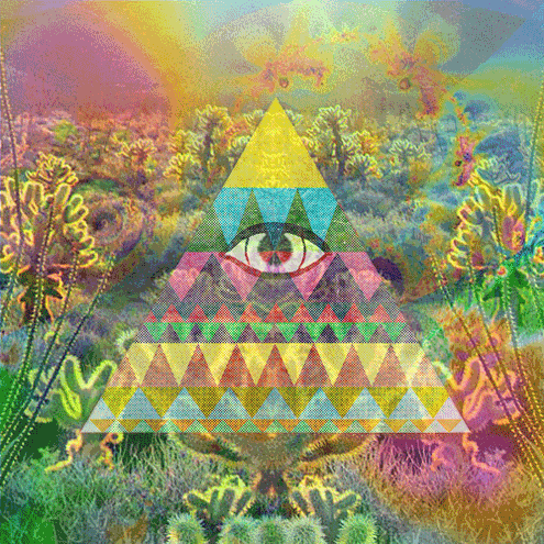 PletchBrendan's profile picture. Hello.