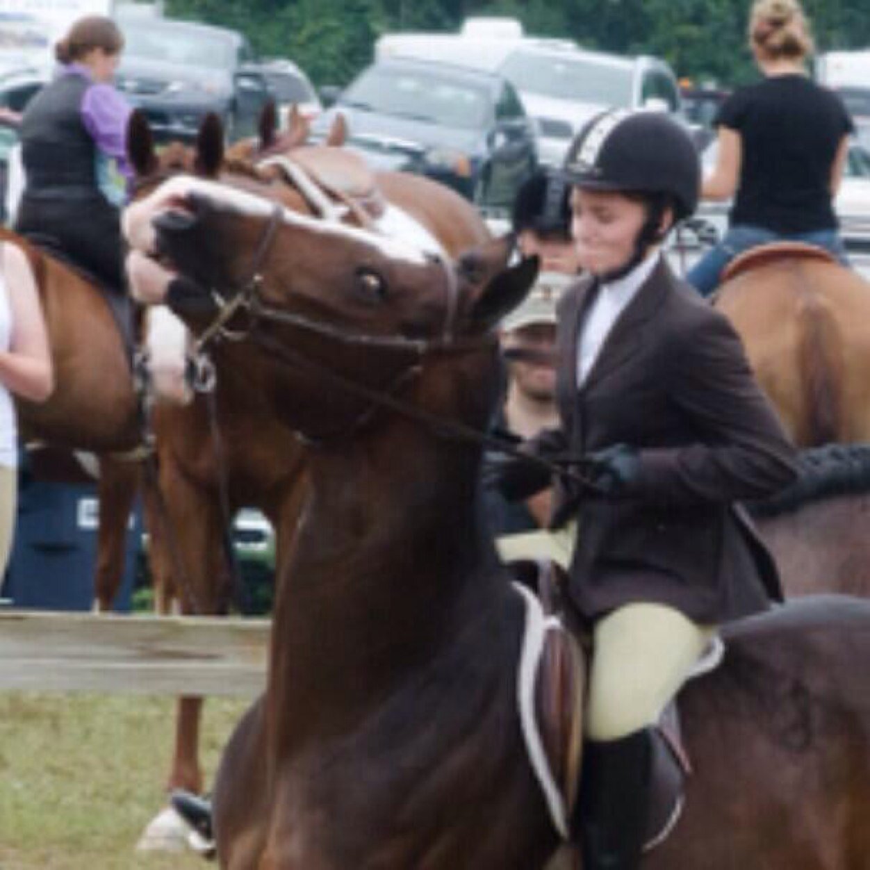 AQHA, OH. Probaly Dealing with my appendix. All around, header is me  
http://t.co/VBRJGx5CI7
