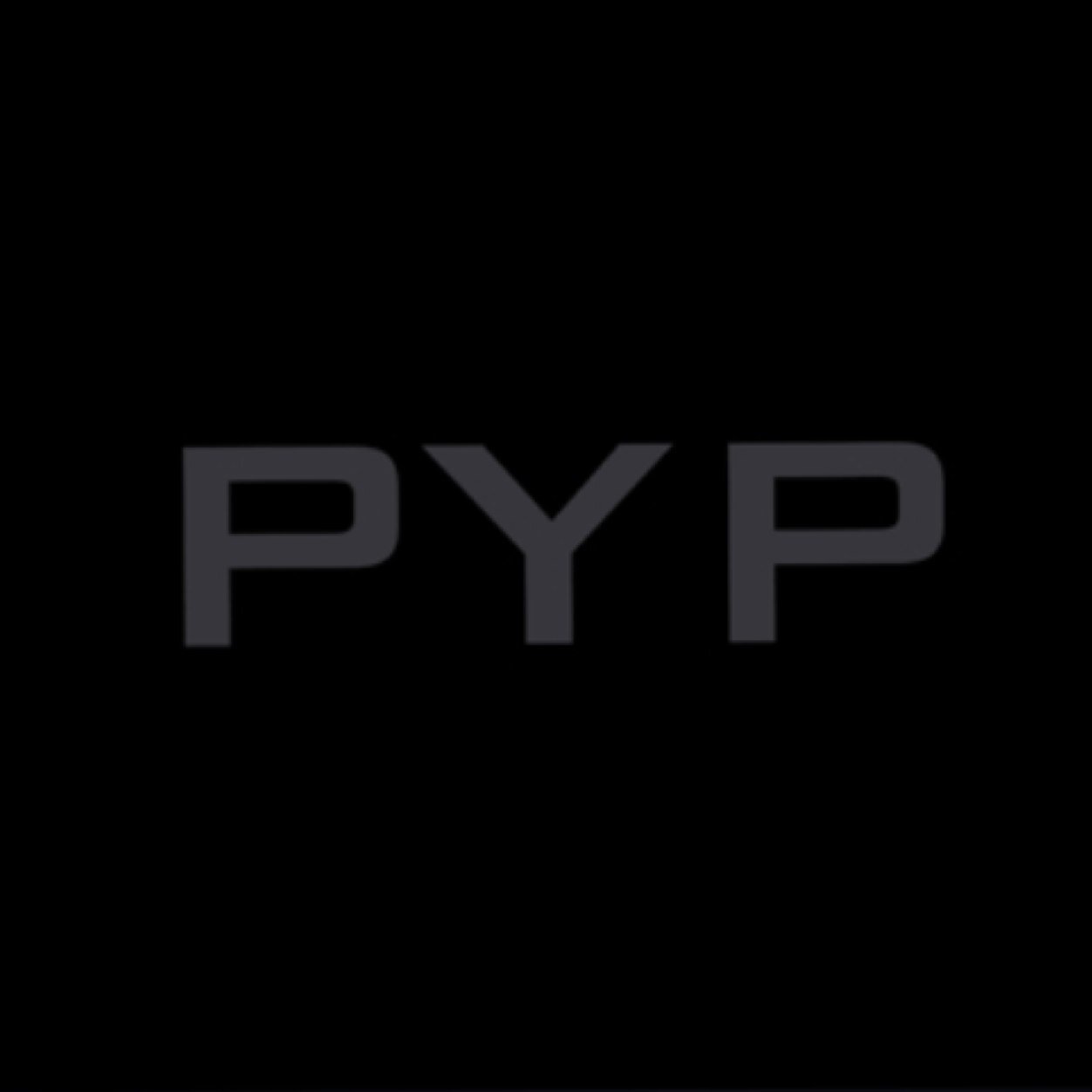 pypltd's profile picture. Cctv, Intruder Alarms, Entry Systems, Access Control, Locks, Grilles, Gates, Safes