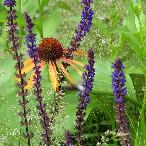 plantnation_e17's profile picture. Following the success of our pop up shop, we’ll be making appearances selling plants & offering garden design in & around E17