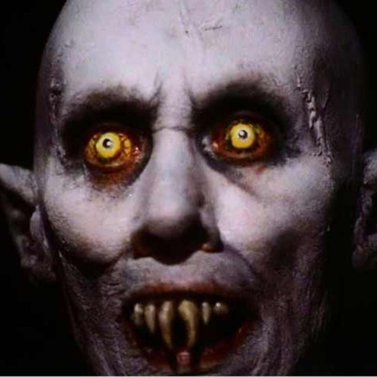 We are paranormal investigators and horror fanatics. Movies, shows, games and all