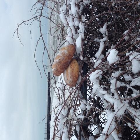 Ebkhewn's profile picture. co-owner Hewn