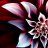 artstocreate's profile image