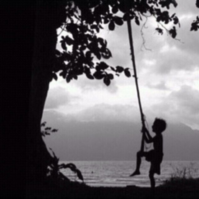 reemlulu's profile picture. 