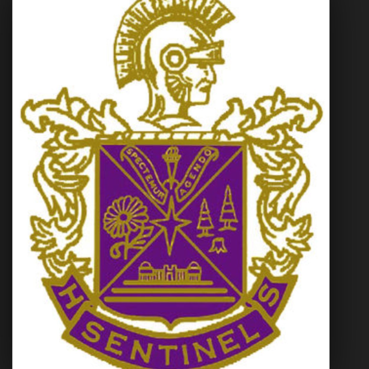 SentinelConfess Profile Picture