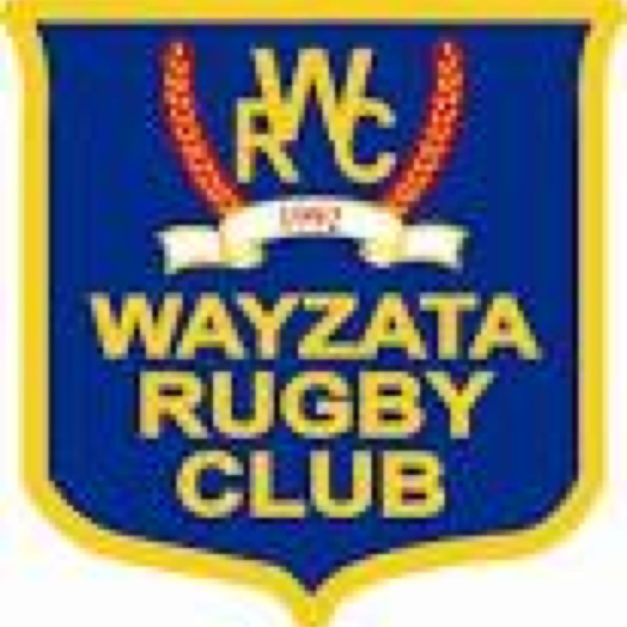 wayzatarugby's profile picture. http://t.co/UQ4wUCus1a