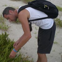 jeroni galmes (@jeronigalmes) 's Twitter Profile