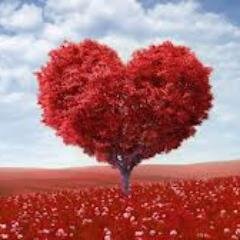 harusnyacinta's profile picture. let's talk about love and how to solve the problem inside/ NO LIVE WITHOUT LOVE!! /  Semua tentang cintaa dan bagaimana seharusnya cintaa♥