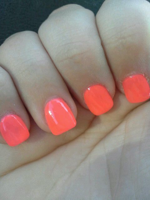 Ctxprincesss's profile picture. i used to be @centexprincess but got suspended. stoner. alcoholic. southern slut. ednos. selfharm