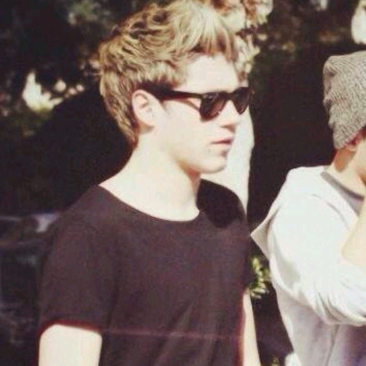 hey I am niall I am shy and I stader singlee gayy rp
