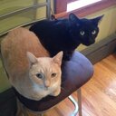 Jackie Aker - @hangry_jack_77 - Twitter