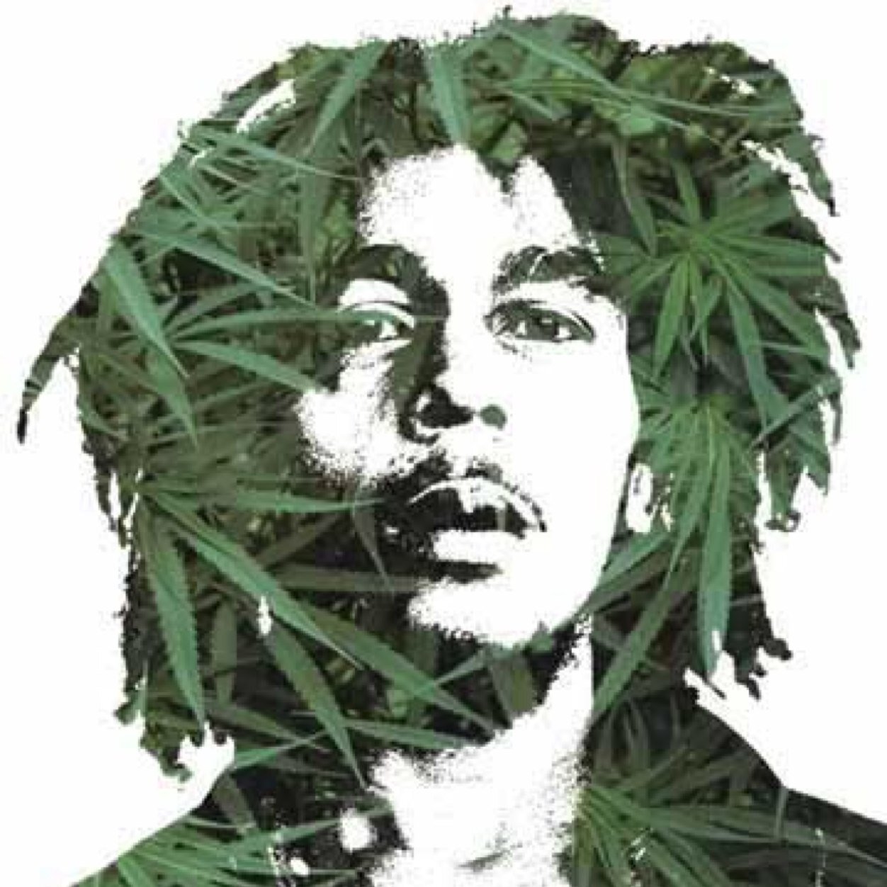 BlazingBluntss's profile picture. Yes, i smoke weed.