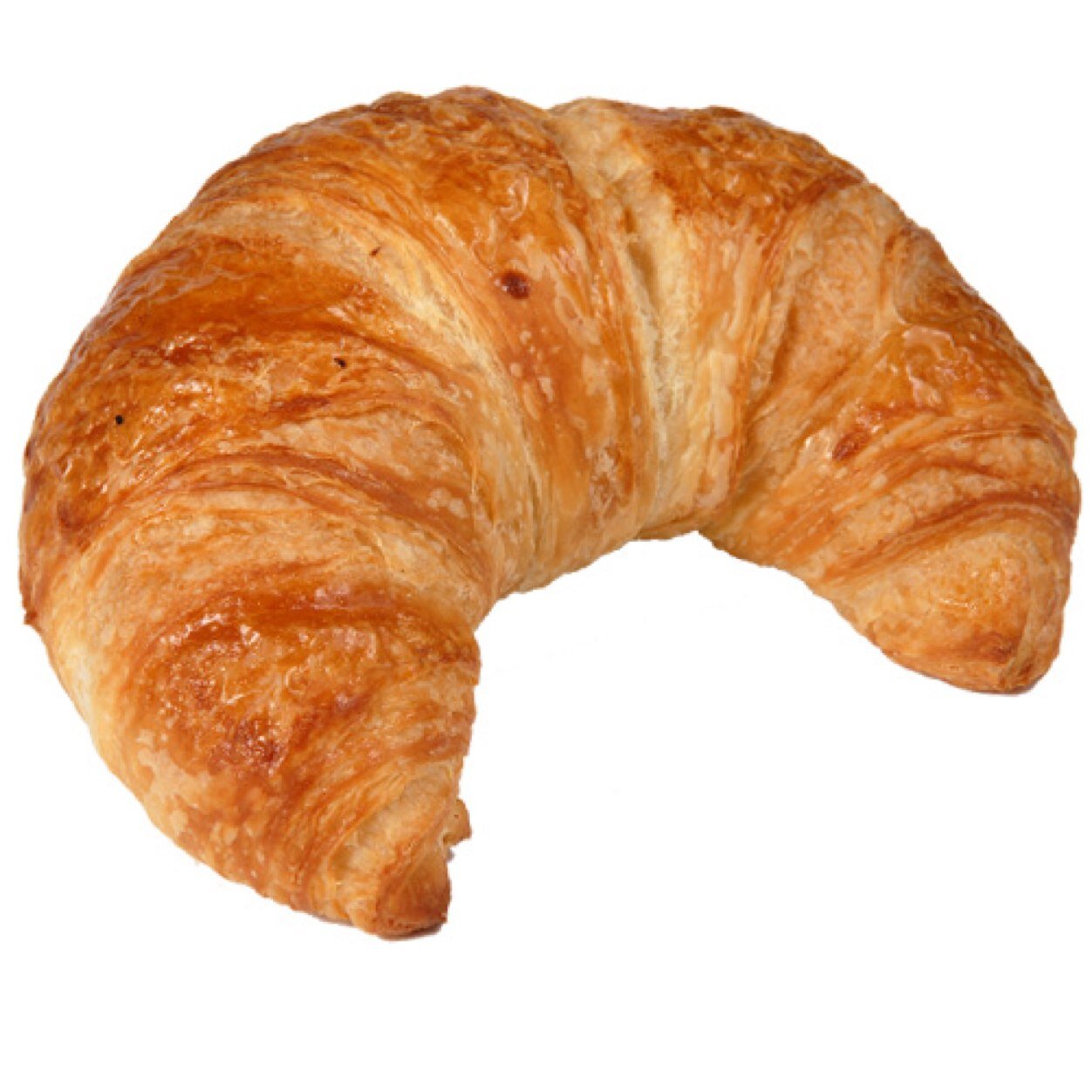 Crossiant On Twitter Hey Guys Im A Croissant Crossiant On Twitter Hey Guys Im A Croissant