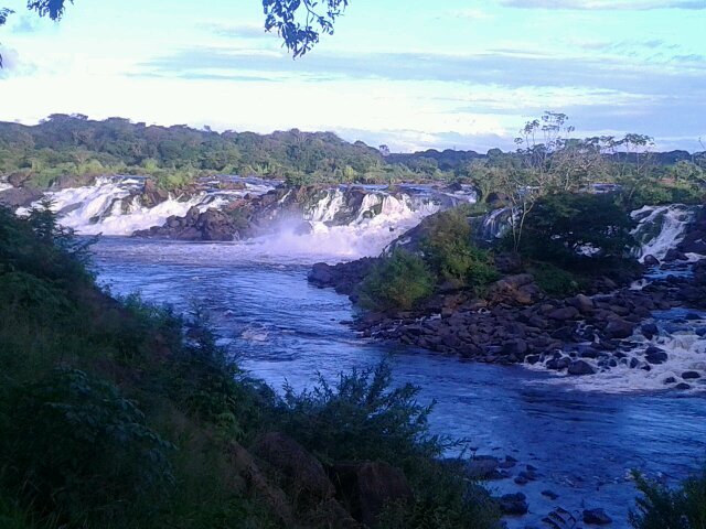 torogga's profile picture. 