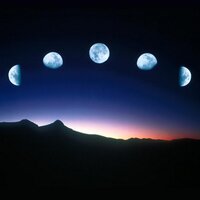 Moony Tonight (@moonytonight) 's Twitter Profile