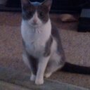 Christian Goff - @cheesepuff149 - Twitter