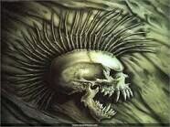 mohicanos_crew's profile picture. 