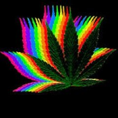 The greatest high ideas produced from the brightest of our fellow stoners.
