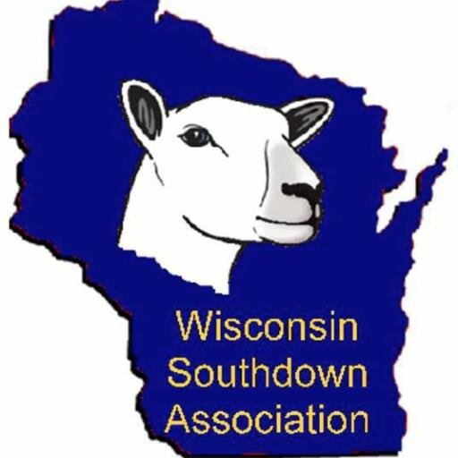 WiscoDowns's profile picture. We love Southdowns! We especially love Wisconsin Southdowns and promote them 'til the cows come home!