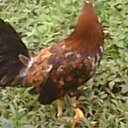 John Pilar - @pilar_john - Twitter