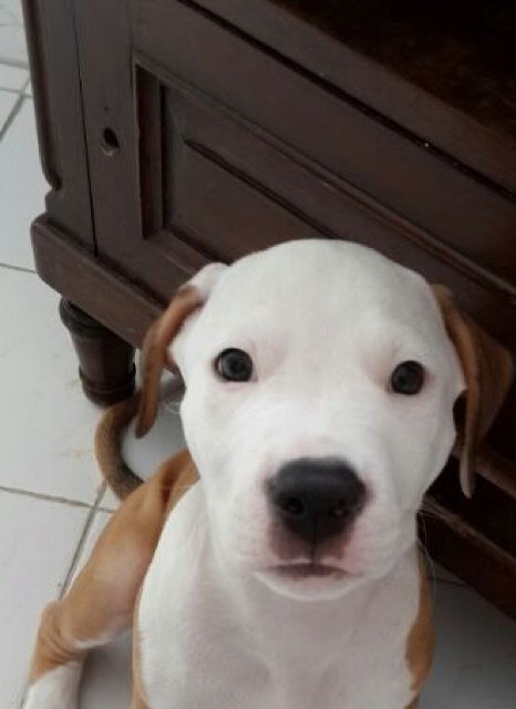 luisnavasb's profile picture. 