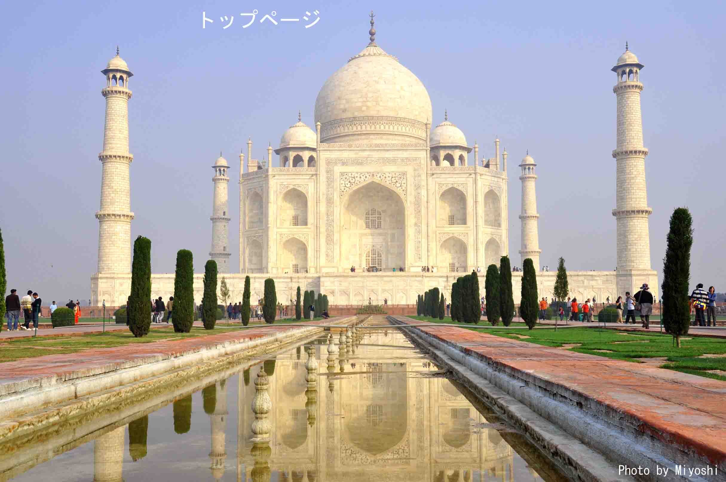 wertmseree's profile picture. 