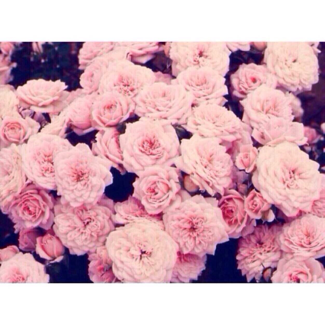 Lana del rey• | الحمدالله