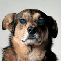 scote007 (@scote007) 's Twitter Profile