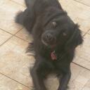 Karla - @KarlaPinero - Twitter