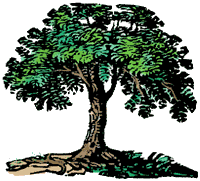 Ancestry Tree Roots - Researching and Building Your Family Tree