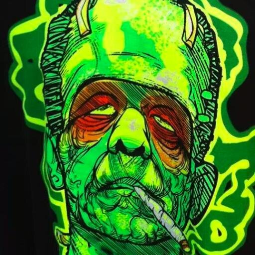 elmonstroverde's profile picture. Si vives en el ayer,te come un cocodrilo, si vives en el mañana, te come un caimán, si vives en el ahora eres un saurio. etnohistoria, skateboarding.