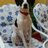 paulase_r's profile image