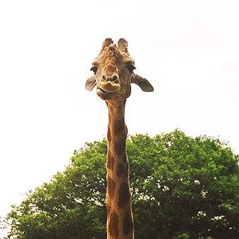 a friend