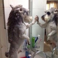 なんなんだよBOT (@usfbxhc) Twitter profile photo