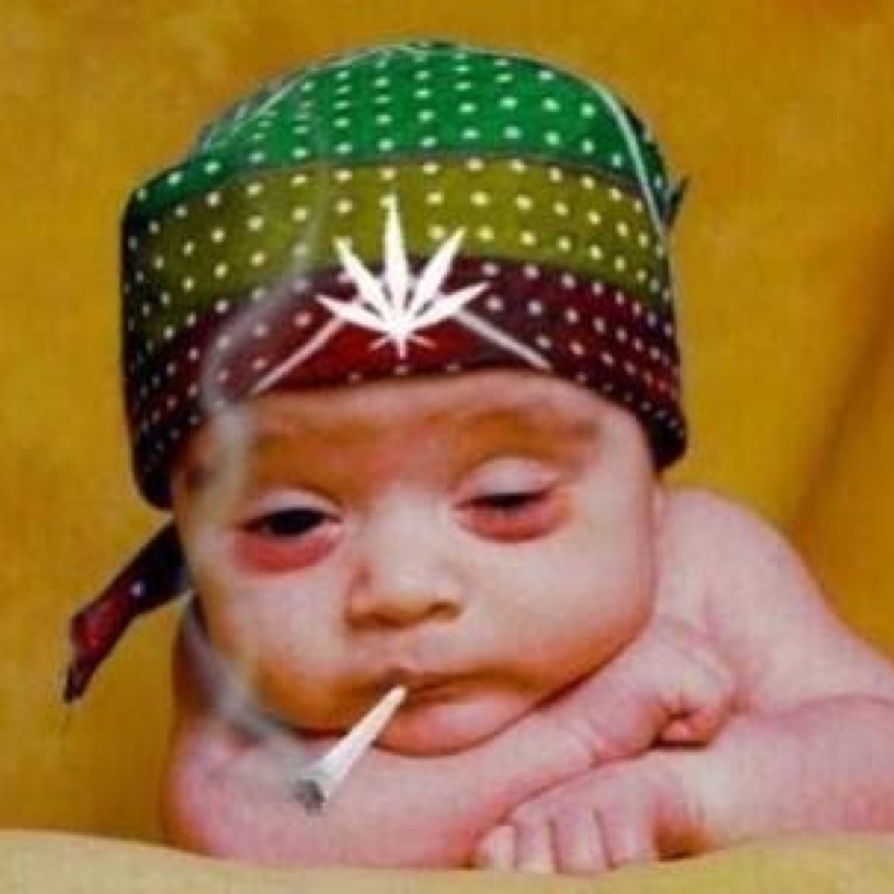 ay di$ LiL Ku$H