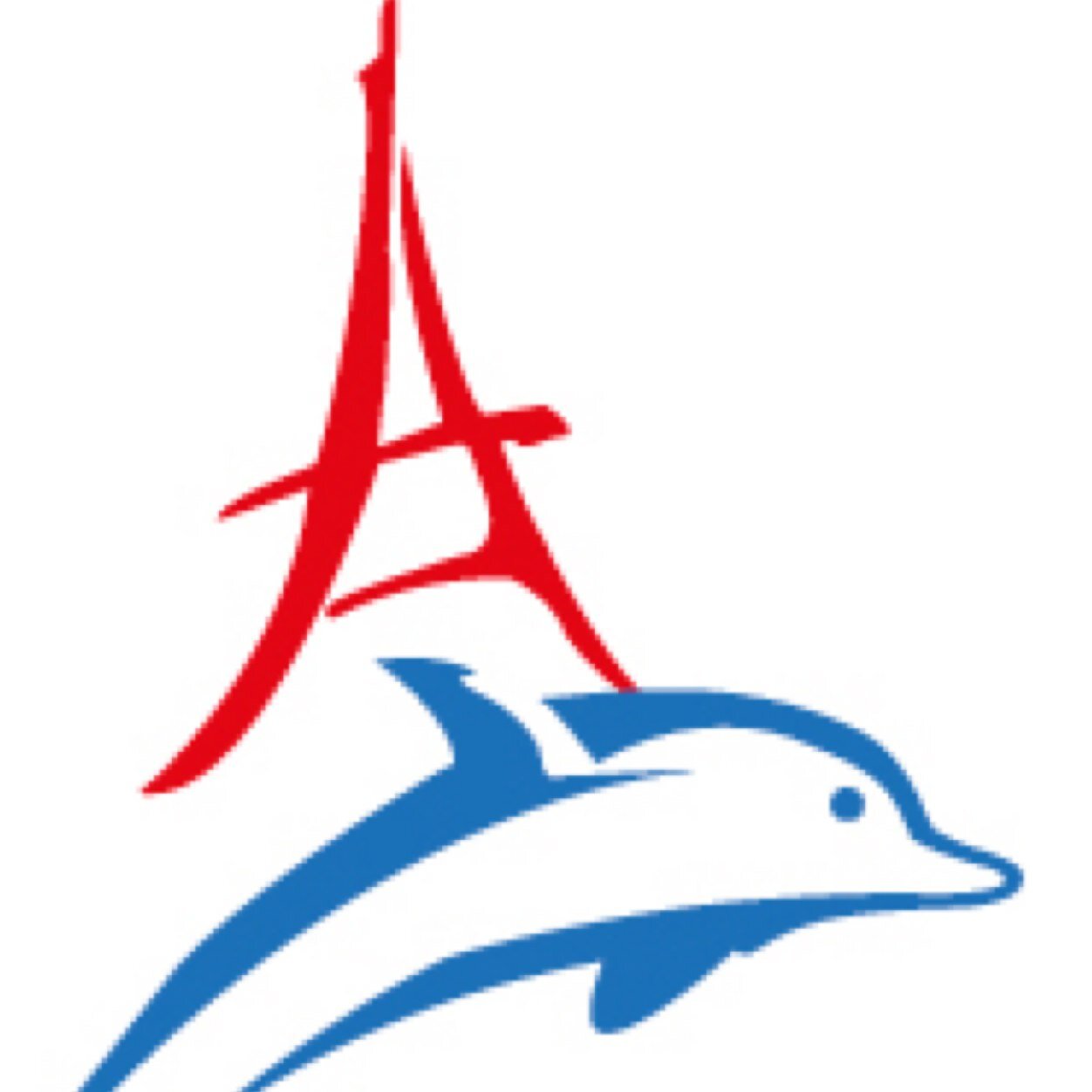 Développer la connaissance et pratique de toutes les activités subaquatiques. https://t.co/EifSnbt33t