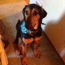 Rachel Ogden - @rachs1231 - Twitter