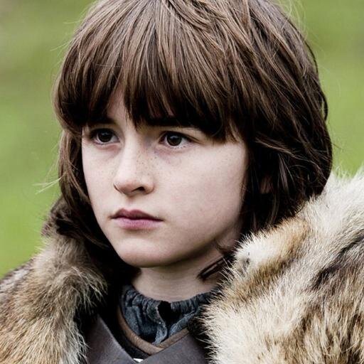 hello im Bran Stark 14 im the fourth child of Lady Catelyn and Lord Eddard Stark. Eddard Stark is the Head of the House of Stark and Lord Paramount of the North