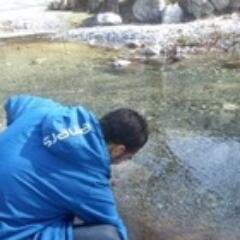 M.S.I. - Web Dev.
