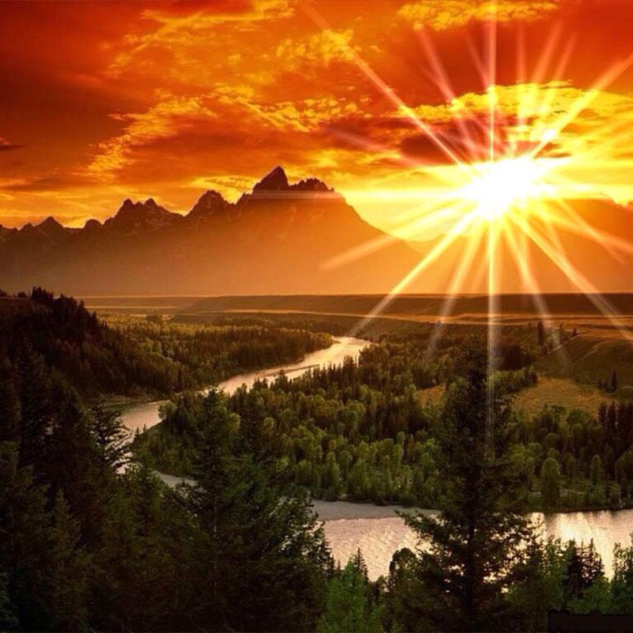 um_saoud_'s profile picture. 