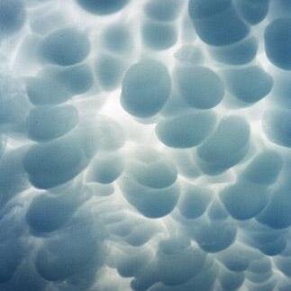 MichaelLanni9's profile picture. Exploring the World of Loz