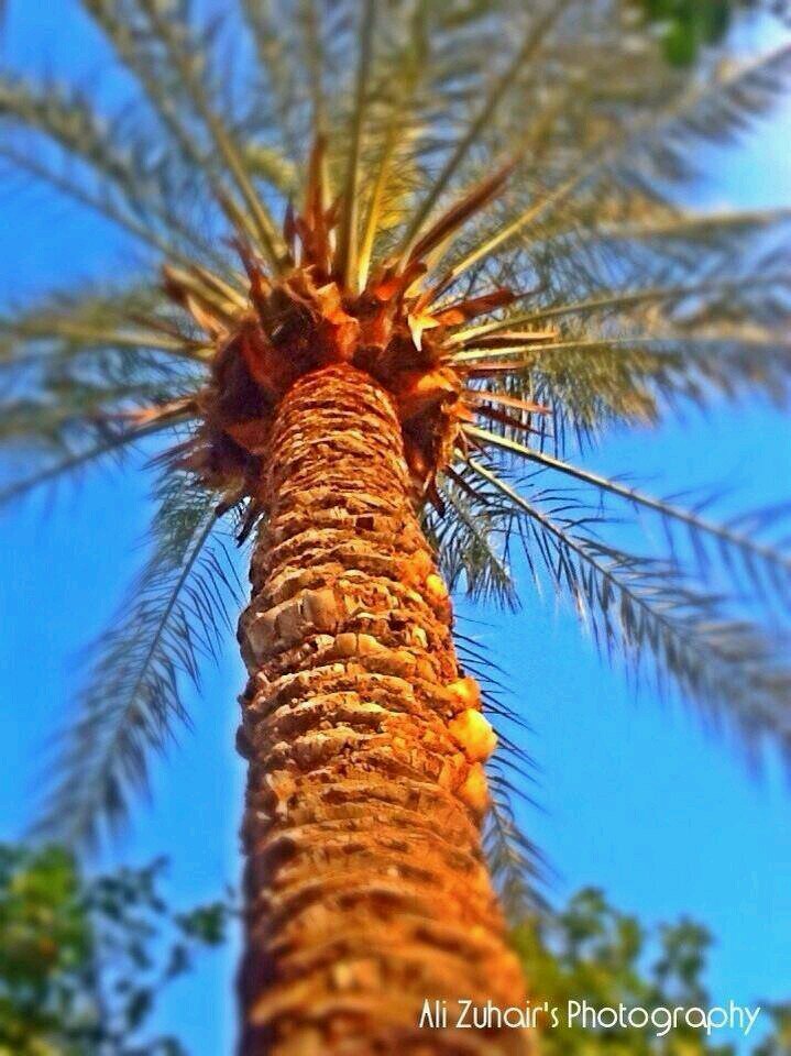 ‏كل يوم خارج القبر هو يوم جديد
