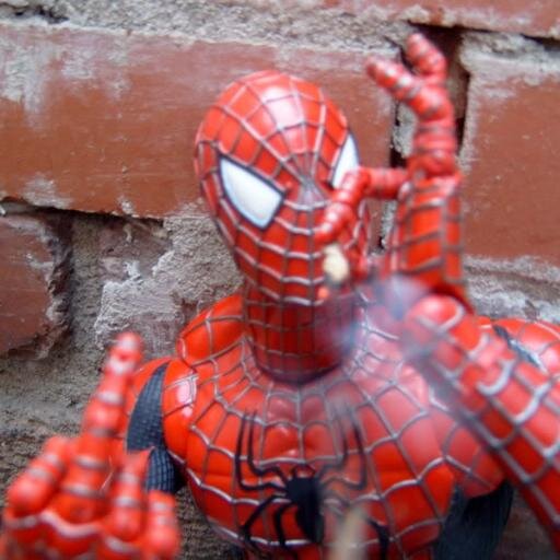 I spun that bitch web,Bitches love webs.*Not affiliated with Marvel* Only affiliated with Booty
