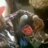 Glen27793861859's profile image