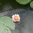 Profile Picture of Debbie Clowes (@@DebraClowes) on Twitter