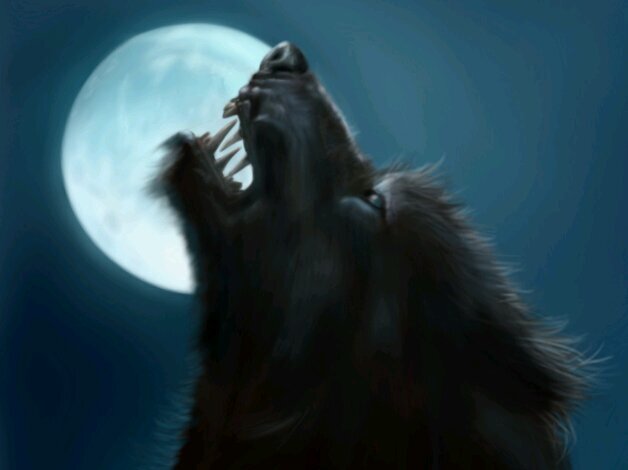 Werewolf. Quick to attack unless you give me reason not to. Very energetic and loyal. A long life fulfilled when he became one with the entity of fire. #OC #MV