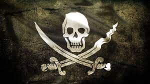 Blog Politique Rochelais, vigie pirate des élections
