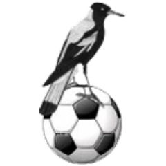 MaitlandFC's profile picture. The official Twitter of @nplnnsw side Maitland FC.