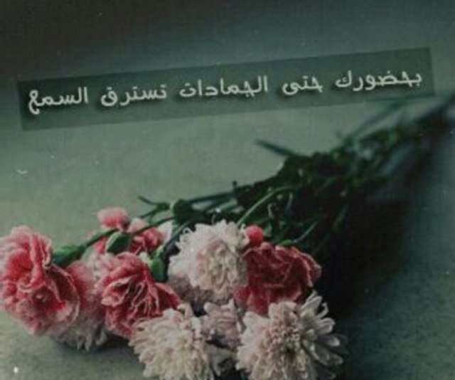 تابعني واتابعك خلال ٢٤ ساعة